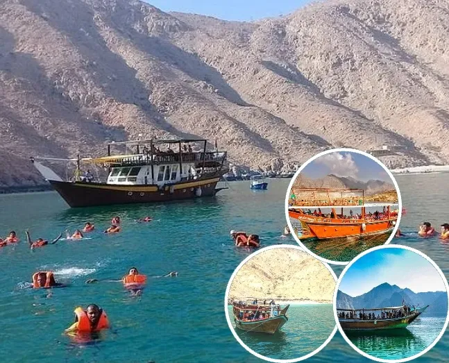 Dibba Musandam Cruise